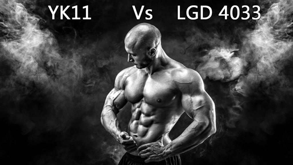 YK11 Vs LGD-4033 Comparison