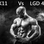 YK11 Vs LGD-4033 Comparison