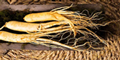 Panax Ginseng